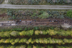 Pflanzung Pereser Holz im Herbst 2023