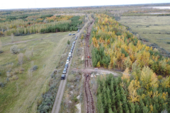 Pflanzung Pereser Holz im Herbst 2023